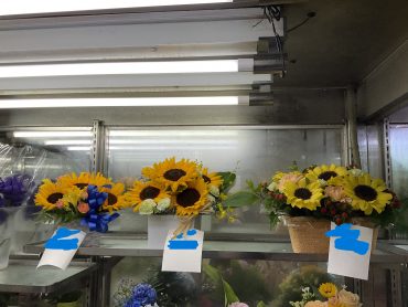 父の日🌻|「大丸フラワー」　（群馬県渋川市の花屋）のブログ