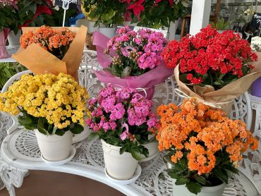秋を感じる色|「大丸フラワー」　（群馬県渋川市の花屋）のブログ