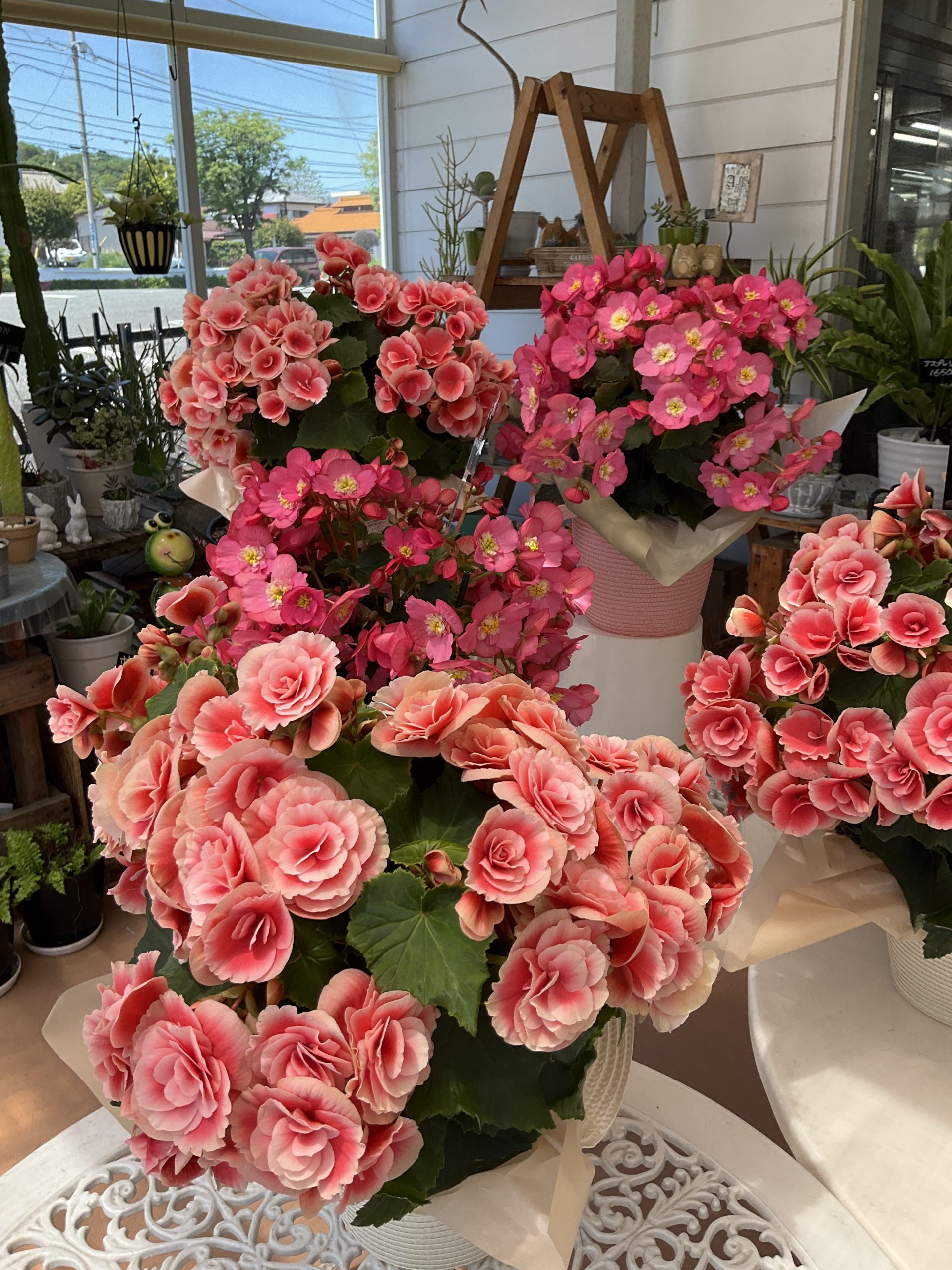 母の日のお花をたくさんご用意してます！｜「大丸フラワー」　（群馬県渋川市の花キューピット加盟店 花屋）のブログ